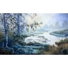 Pejzaż z brzozami 50x80