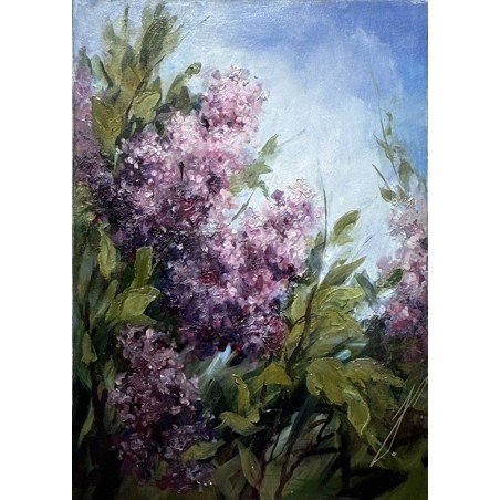Bez 30x45