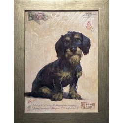 Jamnik 25x38