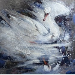 Łabędź 50x50