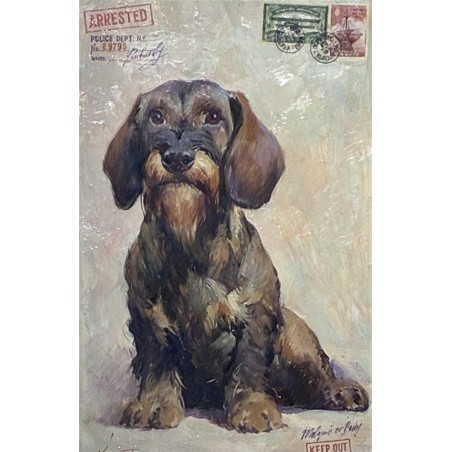 Jamnik 32x44