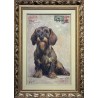 Jamnik 32x44