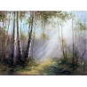 Świt 40x30