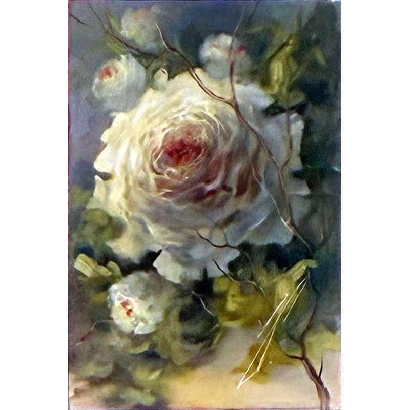 Biała róża 20x30