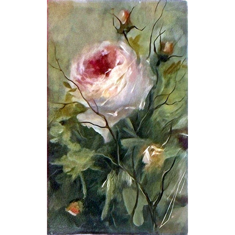 Różyczka 15x25